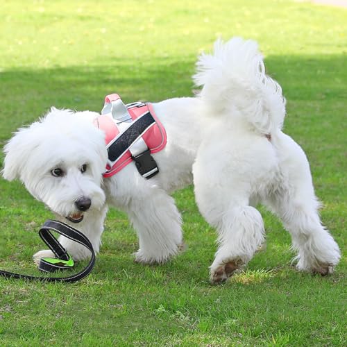 Dog Harness No (XX-Large (Pack of 1) / Red)
