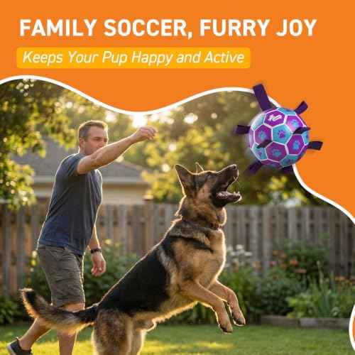 Big Dog Toys Large Herding Ball for Dogs Large (Purple-Blue / Extra Large Size 5 (9 Inch))