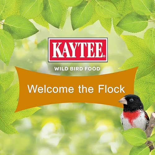 Ultimate Wild Finch Blend Wild Bird Food (10 Pound (Pack of 1))