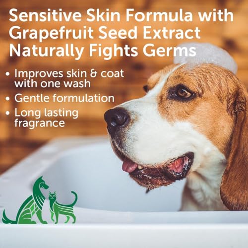 Pet Shampoo for Sensitive Skin (Coconut Lime Verbena Shampoo / 16 oz)