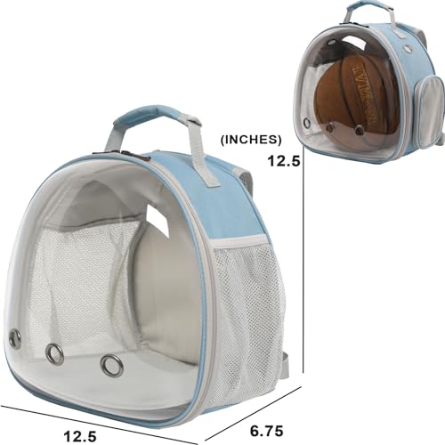 Guinea Pig Carrier (Blue)
