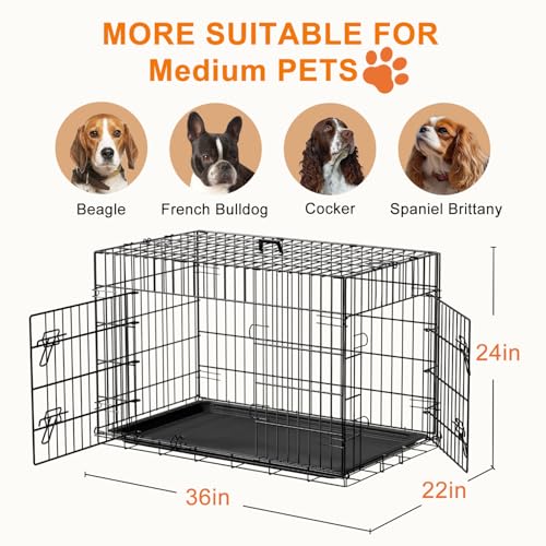 Dog Crate 36inch Dog Cage Foldable Metal Kennel with Leakproof Tray Foldable Design Indoor Outdoor Use for Medium Dogs (Black / 36.0"L x 22.0"W x 24.0"H)