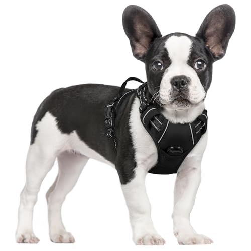 Dog Harness No Pull for Small Dogs with 2 Leash Clips (Small / Black)