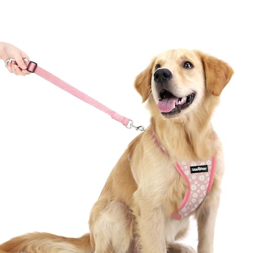 Dog Seat Belt (Pink Daisy / XL (Chest: 24.4-34.7", Neck: 18.9-29.1"))