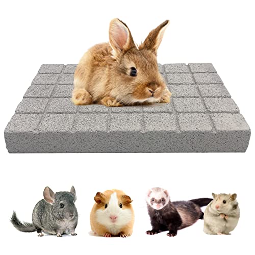 Rabbit Grinding Claw Pads Natural Hamster Lava Stone Teeth Grinder (White 1x Large)