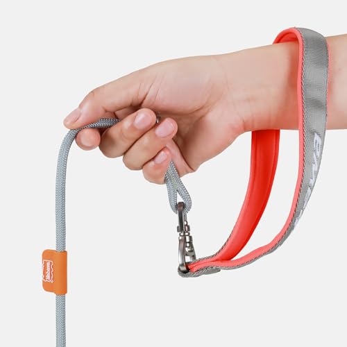 Dog Anti Slip Leash 5FT with Metal Stopper (Gray / 5 FT)
