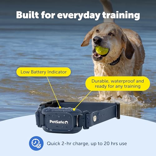 Pro Dog Trainer (2-Dog Trainer)