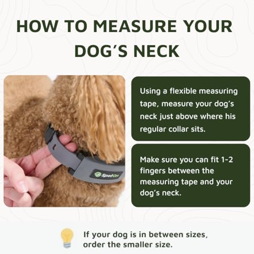 Omni GPS Dog Fence Collar (Medium (12"-18" Neck))