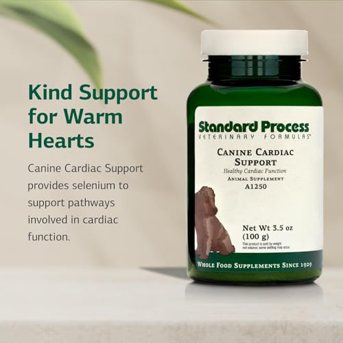 Standard Process Canine Cardiac Support (100 Grams (Pack of 1))