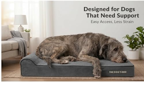 The Dog’s Bed Orthopedic Memory Foam Dog Bed with Headrest XL (Grey Plush / XL (46"L x 28"W x 6"Th))