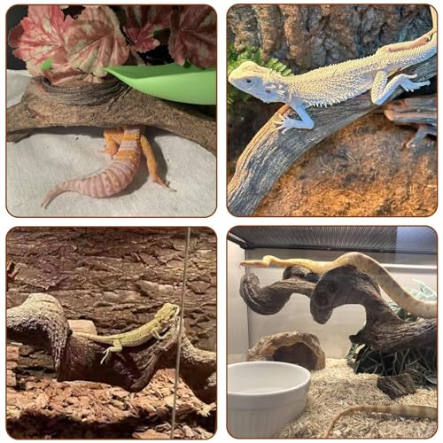 2PCS Natural Reptile Climbing Branches Decor (2PCS|L:1.75-2.25"T,13"H)