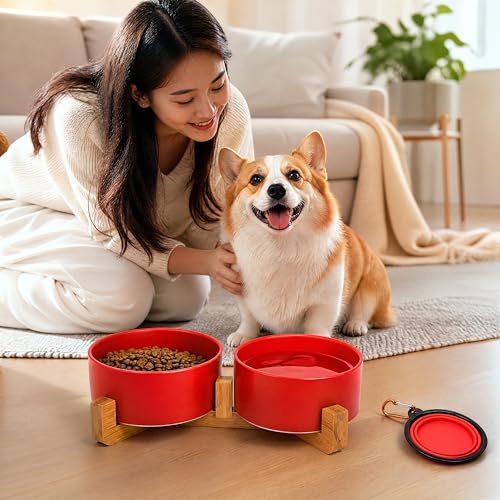 Dog Bowls Ceramic Cat Dog Bowl Set with Wood Stand for Food and Water (Rust Red / 400ML*2)
