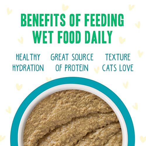 B.F.F. Play Best Feline Friend Paté Lovers (5.5 Ounce (Pack of 8))
