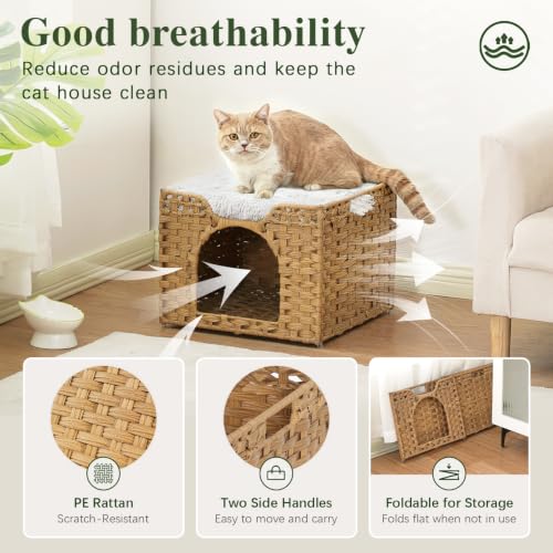 Cat Beds Indoor Kitten House (Natural / Rectangle-M)