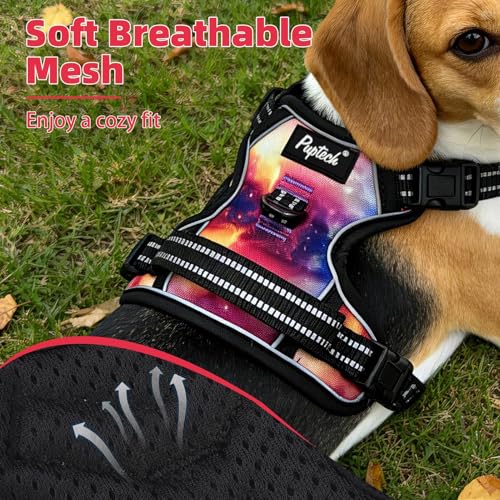 No Pull Tactical Dog Harness for Large (Aurora / Large)