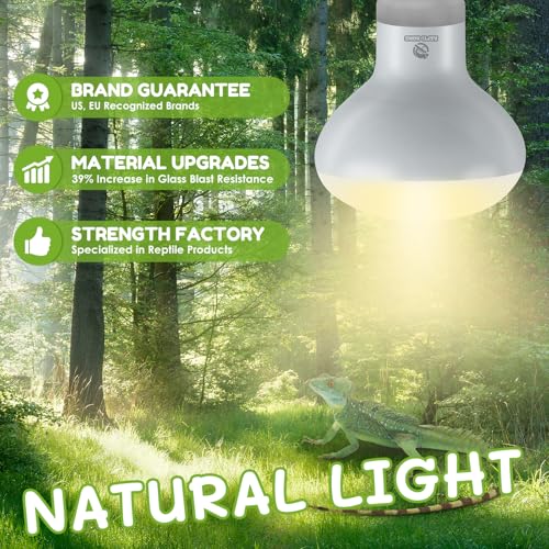 Reptile Heat Lamp Bulbs (Basking Bulb / 2*100)