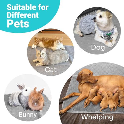 Reusable Pee Pads for Dogs Extra Large 60" x 48" Puppy Playpen Mat (48x60 Inch (Pack of 1))