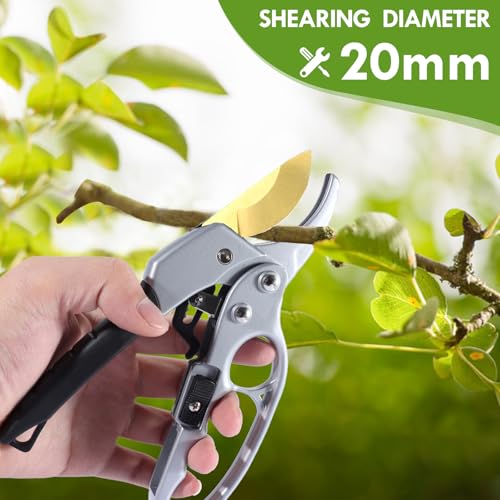 Titanium pruning shears (Titanium Pruners)