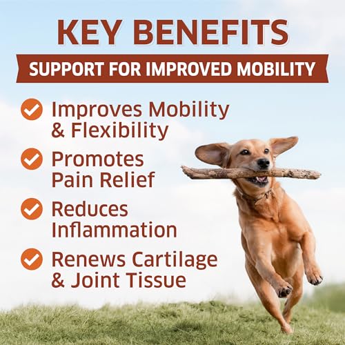 Hemp Hip and Joint Supplement for Dogs