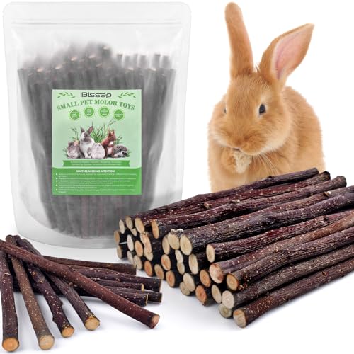 Apple Sticks for Rabbits (8.1 Ounce (Pack of 1))