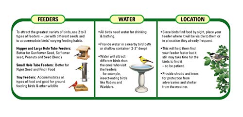 62053 Nyjer Seed Wild Bird Food