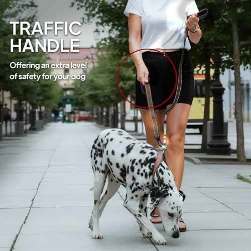 4FT 1IN Heavy Duty Dog Leash for Large Dogs with 2 Padded Handles (Brown / 1 in x 4 ft)