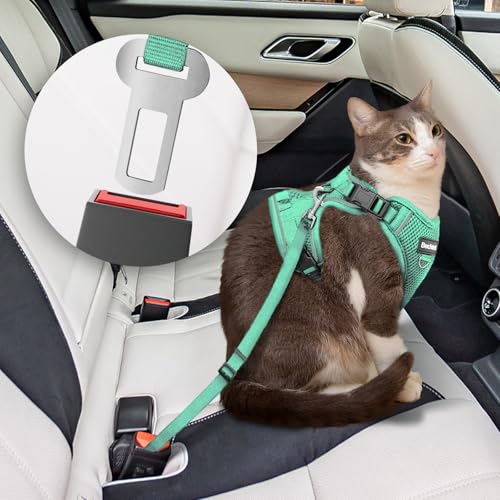 Cat Harness and Leash for Walking (Green / Medium (13-18lb))