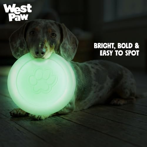 Zisc High Flying Disc Dog Toy (Large / Glow)