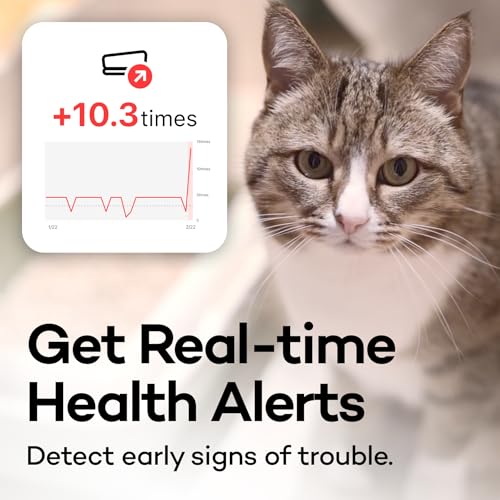 Board Smart Litter Box Monitoring System