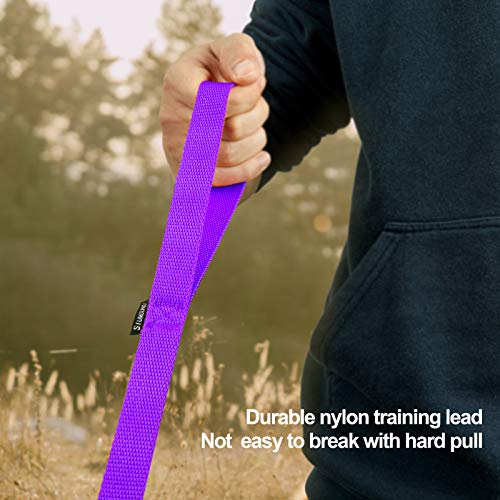 Dog Puppy Obedience Recall Training Agility Lead (Purple / 20 Feet)