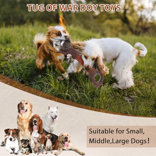 Large Plush Squeaky Dog Toys with Crinkle Paper (Brown01)