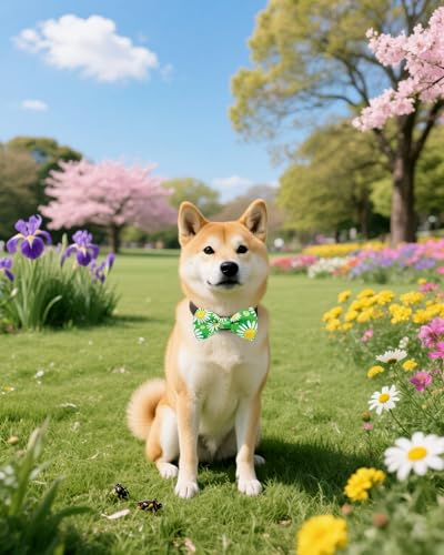 10 Pack Floral Dog Bowties for Large Dogs Sliding on Collar (M/L)