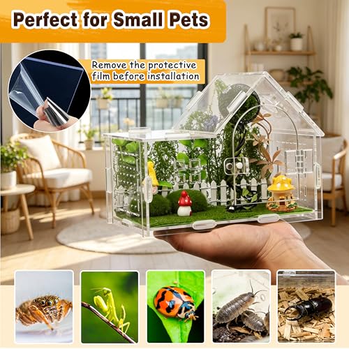 Acrylic Jumping Spider Enclosure Kit 19PCS with Decor (Green - Gothic style)
