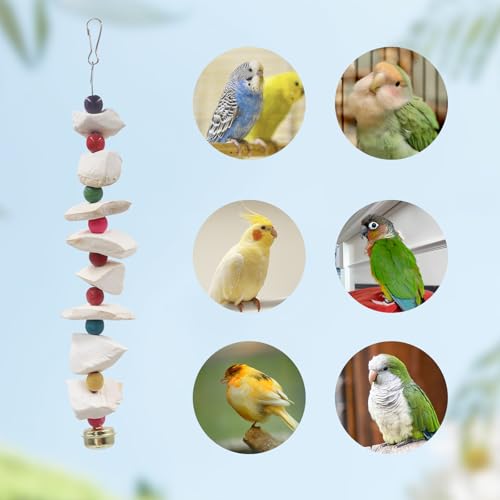 2 Pack Bird Toys with Cuttlebone (Small)