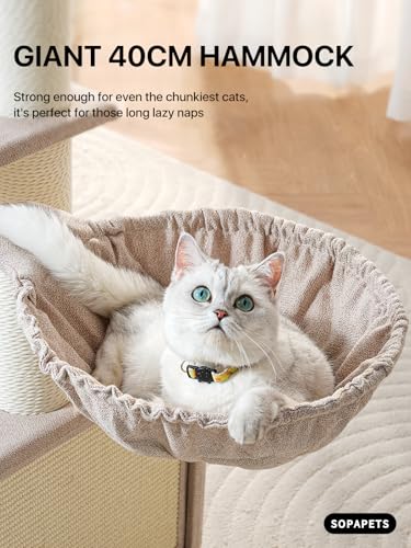 Maine Coon Cat Tree for Indoor Cats Large Adult (Beige)