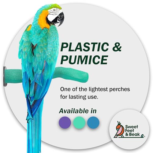 Safety Pumice Bird Perch (Green / Small 8")