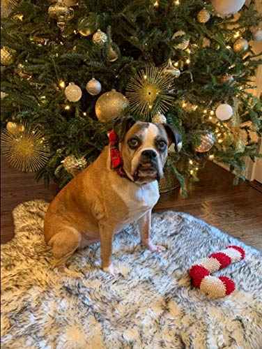 Christmas Dog and Cat Collar with Bow Pet Gift Adjustable Soft and Comfy Bowtie Collars for Small Medium Large Dogs (Large / red plaid)