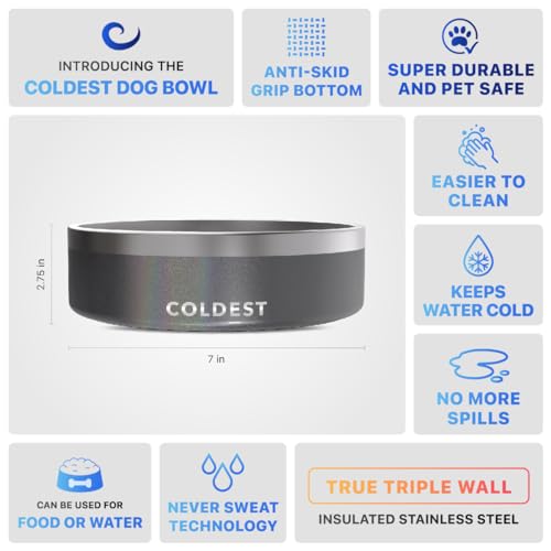 Coldest Dog Bowl (42 oz / Stardust Glitter)
