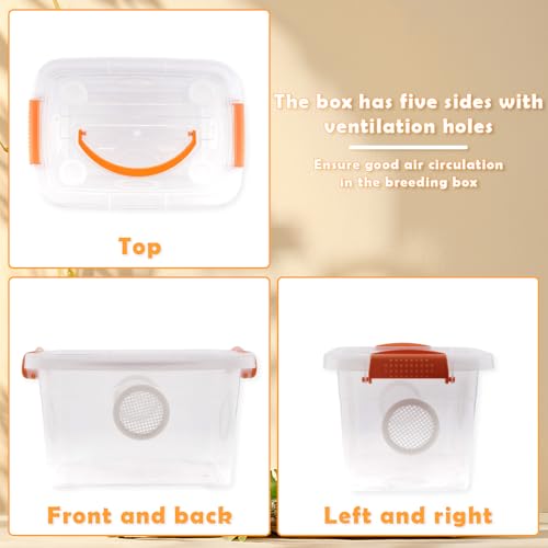 Reptile Feeding Box Snake Plastic Transparent Breeding Box Hatching Container for Small Reptile Bearded Gecko Dragon Lizard Spider Frog Scorpion