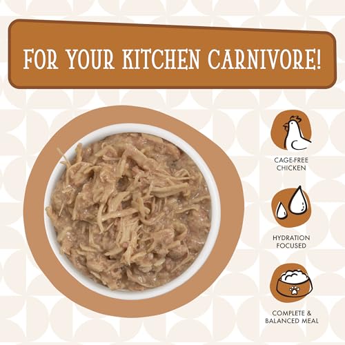 Cats in the Kitchen (3.2 Ounce (Pack of 24))