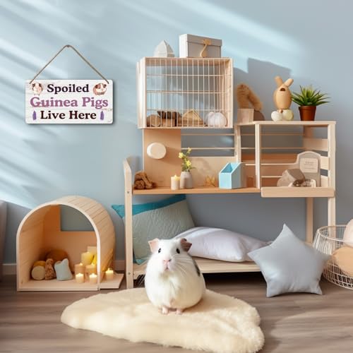 Big Hamster Ball & Guinea Pig Hideout (007)