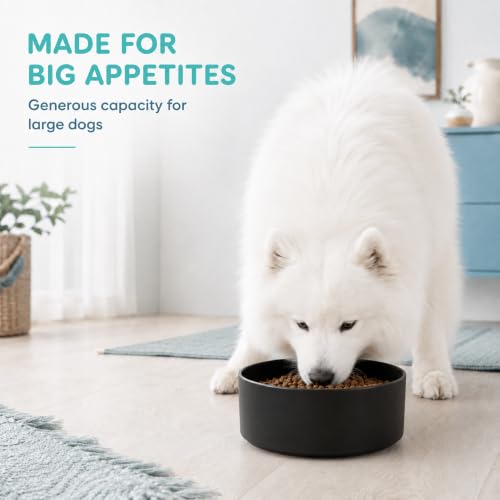 Ceramic Dog Bowls (Matte Black)