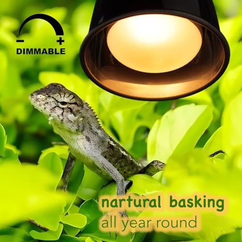 Reptile Heat Lamp Bulbs