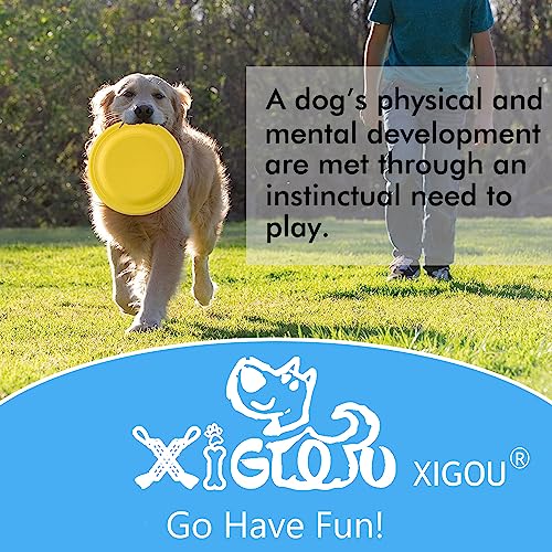 Dog Flying Disc (Yellow)