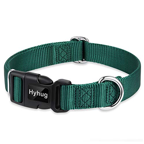 Green Dog Collar for Medium Dogs (Medium / Dark Green)