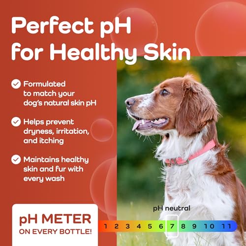 Sensitive Care (Cavalier King Charles Spaniel / 16 Fluid Ounces)