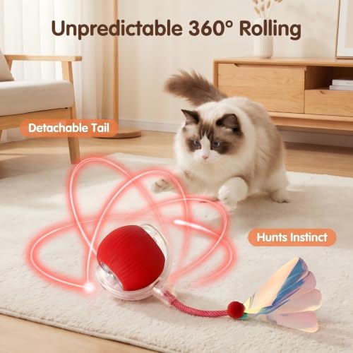 Automatic Cat Toy Ball for Indoor Cats (Red)