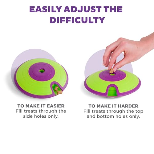 Nina Ottosson Dog Treat Maze Dog Toy (Green / One Size)