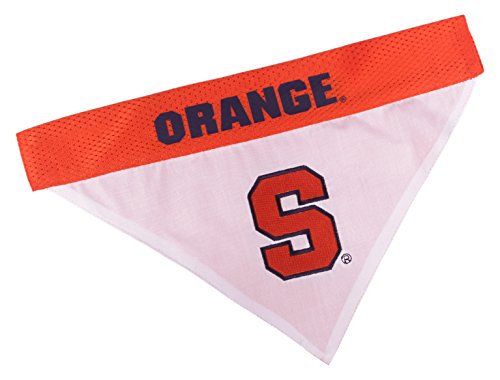 Collegiate Pet Accessories (Small/Medium / Syracuse Orange)