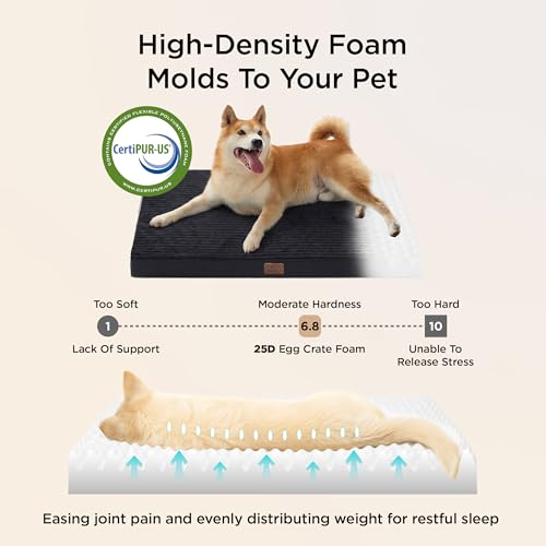 ComfyFleece Large Dog Bed for Crate with Washable Cover (35x22x2.8 / Black)